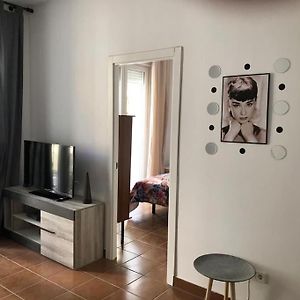 Apartamento de 3 Dormitorios